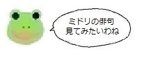 エルアイコン00313.jpg