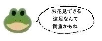 エルアイコン0621.jpg