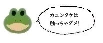 エルアイコン0701.jpg