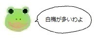 エルアイコン70324.jpg