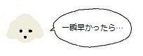 プーアイコン80721.jpg