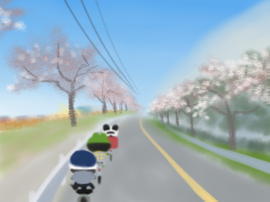 志木市柳瀬川通り(1).jpg