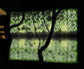 白藤の滝(1).jpg