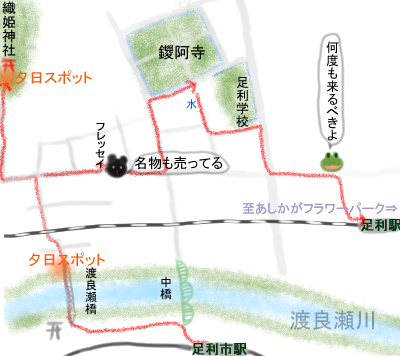 足利夕日散歩4.jpg