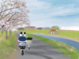 黒目川遊歩道サイクリング(1).jpg